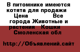 В питомнике имеются котята для продажи › Цена ­ 30 000 - Все города Животные и растения » Кошки   . Смоленская обл.